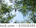 [沖繩石垣島]植物與天空 63928389