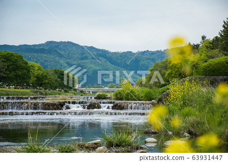 Kyoto River Kyoto in spring Kyoto River Kyoto in spring 63931447