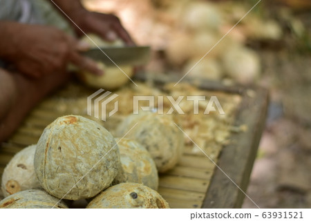 Peeling coconut with a knife Peeling coconut with a knife 63931521