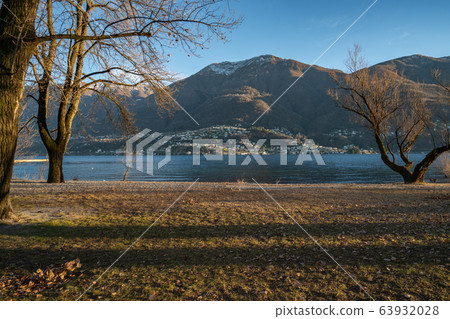 Port park on the lake of Ascona 63932028