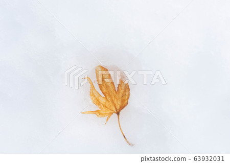 Snow and autumn leaves Snow and autumn leaves 63932031