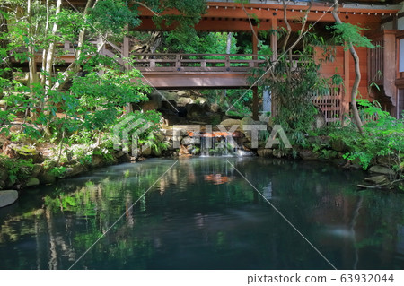 [Tokyo] Jindaiji Temple with fresh green Godaison Pond 63932044