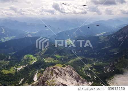 Flock of alpine chough birds flying over Dachstein glacier near Hunerkogel mountain car station, Austrian Alps 63932250