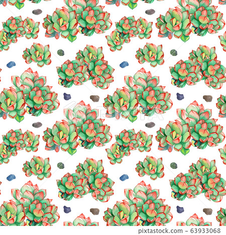 Watercolor seamless pattern with succulents plants - Stock Illustration ...