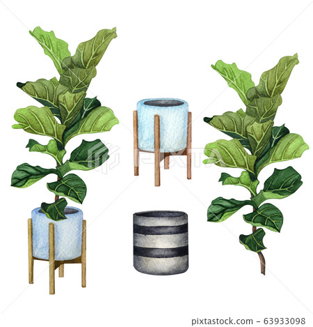 Indoor plants in a pot set . Watercolor plants - Stock Illustration ...