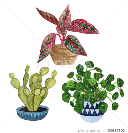 Indoor plants in a pot set . Watercolor plants - Stock Illustration ...