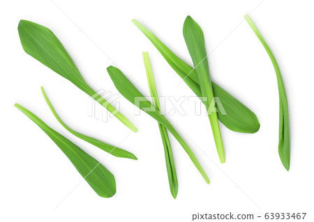 Ramson leaves isolated on white background with clipping path and full depth of field, Top view. Flat lay Ramson leaves isolated on white background with clipping path and full depth of field, Top view. Flat lay 63933467