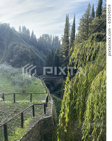 意大利托斯卡納 63934059