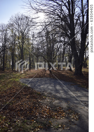 Falling leaves on the scenic autumn park. Falling leaves on the scenic autumn park. 63934405