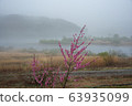 spring 63935099