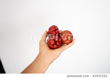 Female hand holding a three ripe asian water apple on a white background. Female hand holding a three ripe asian water apple on a white background. 63935262