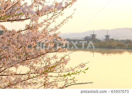 櫻花與朝日夜叉寺(奈良縣奈良市) 櫻花與朝日夜叉寺(奈良縣奈良市) 63937073