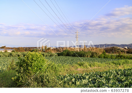 Countryside (spring) 63937278