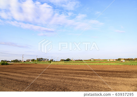 Countryside (spring) 63937295