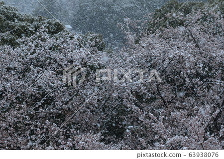 Nature landscape like a snowy landscape of a satoyama, but ... Spring park landscape Nature landscape like a snowy landscape of a satoyama, but ... Spring park landscape 63938076