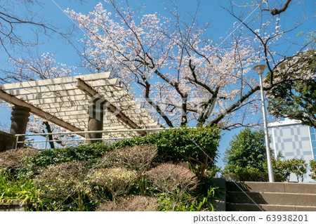 Motomachi Park in Bunkyo Ward Motomachi Park in Bunkyo Ward 63938201