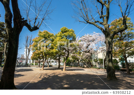 文京區元町公園 文京區元町公園 63938212