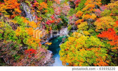 土chi峽（秋天） 63939220