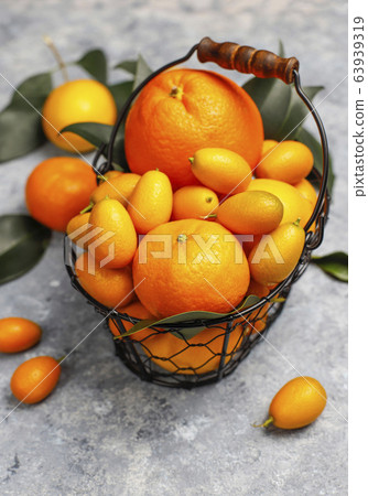 Citrus background with assorted fresh citrus fruits in food storage basket,lemons,oranges,tangerines,kumquats,top view 63939319