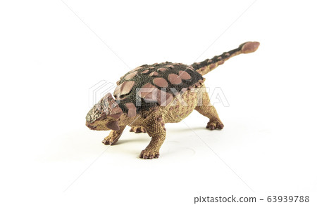 Ankylosaurus , dinosaur on white background Ankylosaurus , dinosaur on white background 63939788