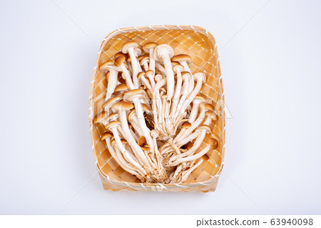 山毛櫸目次 63940098