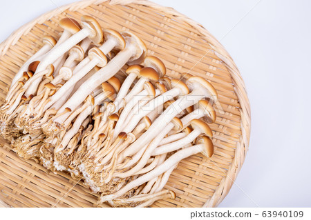 Beech Shimeji Beech Shimeji 63940109