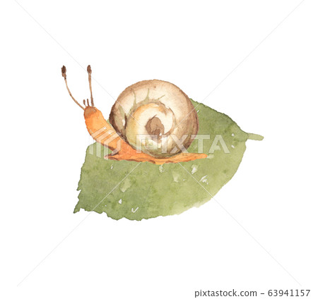 蝸牛和葉子 蝸牛和葉子 63941157