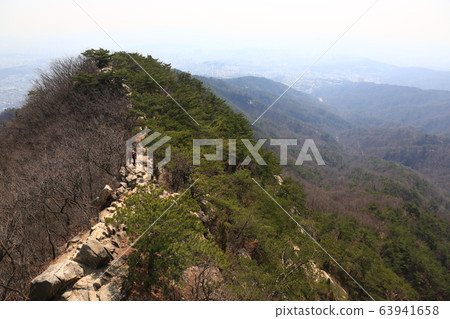 北漢山國立公園，野花，春天 63941658