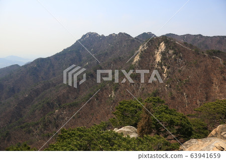 北漢山國立公園，野花，春天 63941659