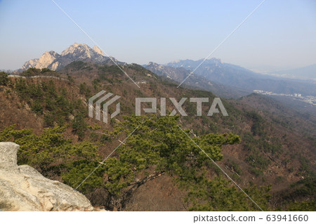 北漢山國立公園，野花，春天 63941660