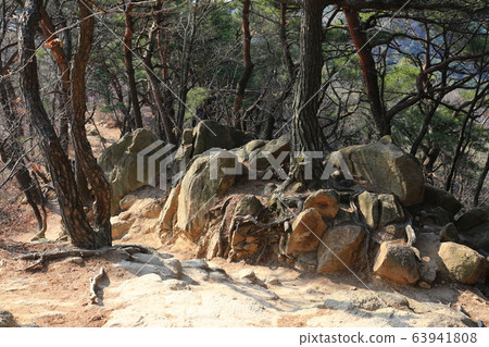 National Park, Bukhansan Mountain, Spring 63941808