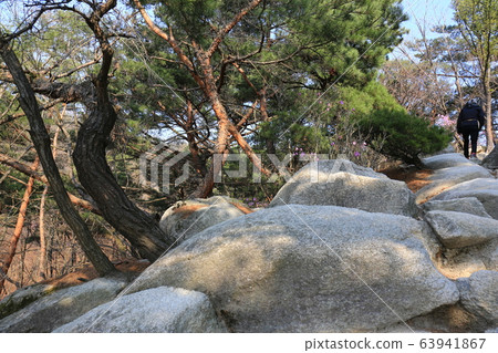 春季北漢山山國家公園 63941867