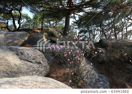 National Park, Bukhansan Mountain, Spring National Park, Bukhansan Mountain, Spring 63941868