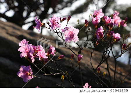 National Park, Bukhansan Mountain, Spring 63941869