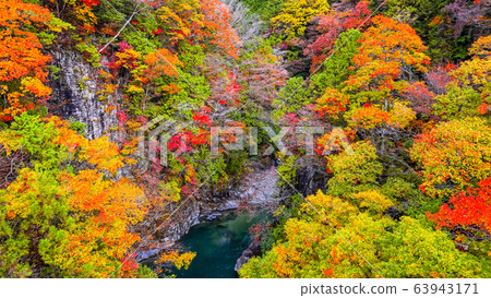 Tsuchikyo Gorge (Autumn) Tsuchikyo Gorge (Autumn) 63943171