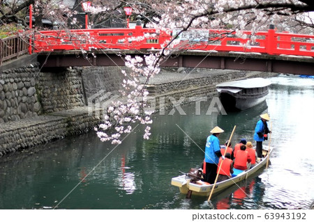 春季召喚河5（岐阜縣大垣市） 63943192