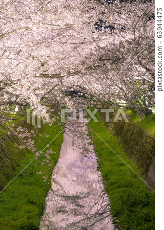 實名浪漫之路 實名浪漫之路 63944475