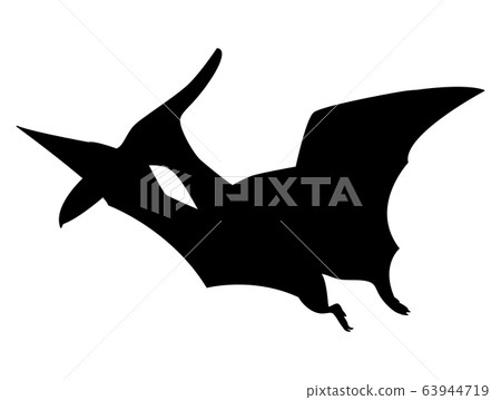 Pteroductylus dinosaur silhouette isolated on 63944719