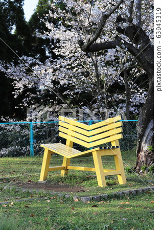 國分城山公園快樂的黃色長凳 國分城山公園快樂的黃色長凳 63945319