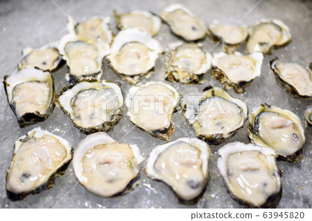 Opened fresh oysters on ice 63945820