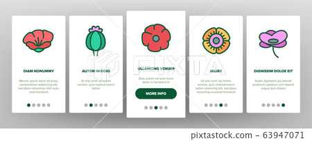 Poppy Natural Flower Onboarding Icons Set Vector Poppy Natural Flower Onboarding Icons Set Vector 63947071