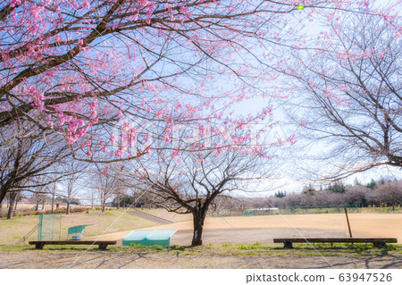 To木縣大田原市Fureai no Sato 63947526