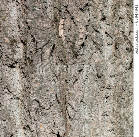 Tree bark as an abstract background 63947941