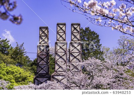[Shizuoka] Nirayama reverberatory furnace wrapped in cherry blossoms in full bloom 63948253