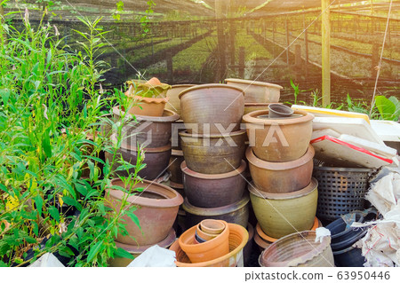 Pile of pots of many old plants that are not in use in front of the orchid breeding garden. 63950446