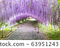 Wisteria Tunnel at Kawachi Fuji Garden 63951243