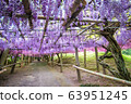 Wisteria Tunnel at Kawachi Fuji Garden 63951245