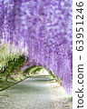 Wisteria Tunnel at Kawachi Fuji Garden  63951246