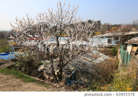 泉州市正陵洞城北區 63955578