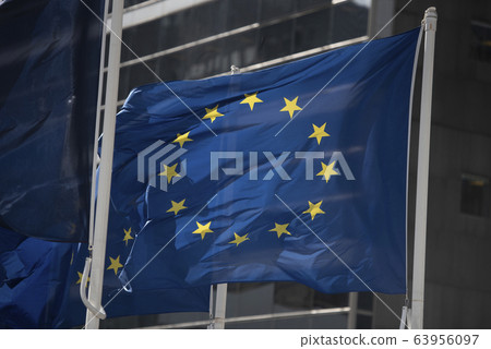 European Union flag in detail European Union flag in detail 63956097
